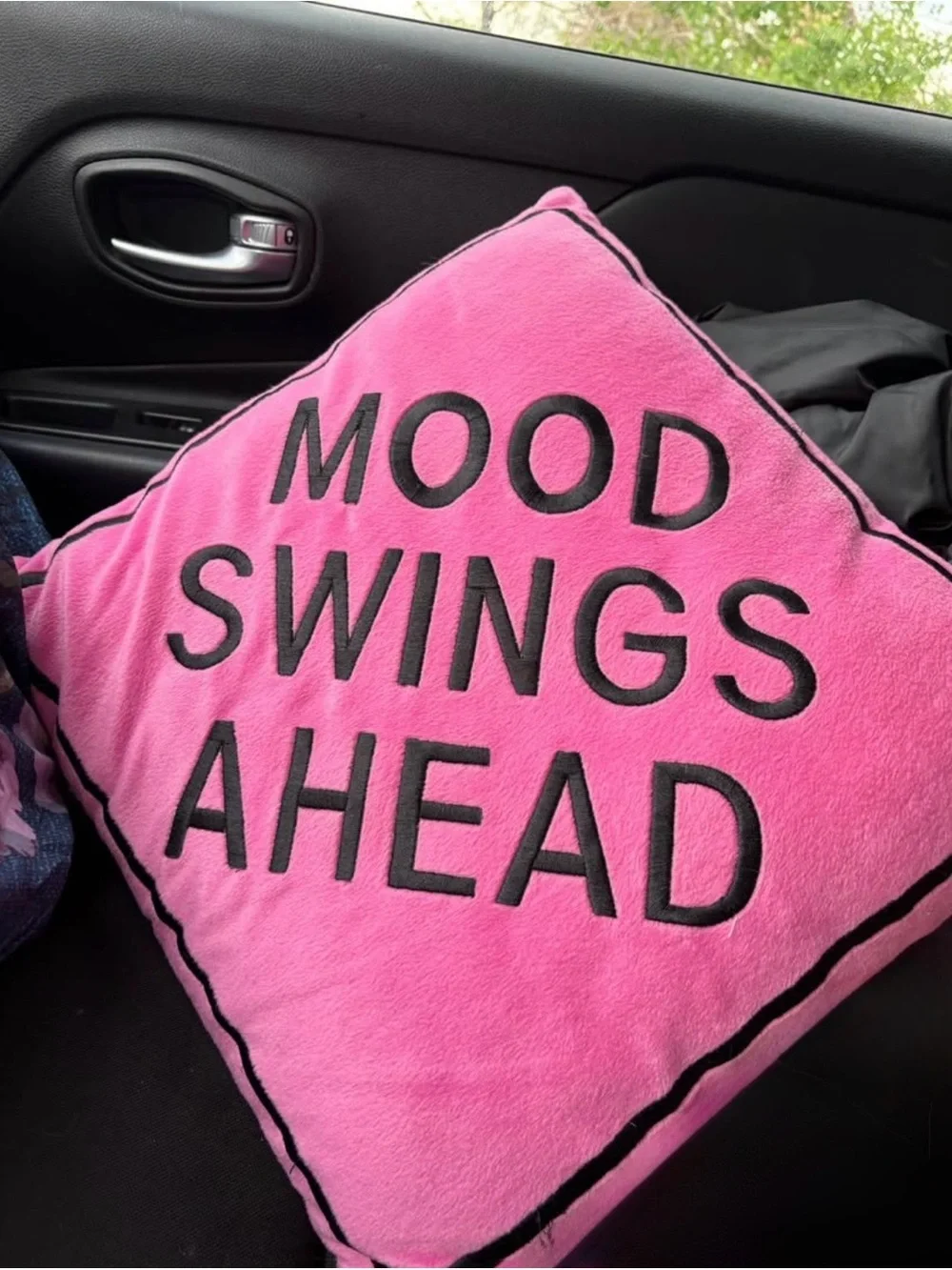 Pink Sign Pillow Warning Mood Swings Ahead